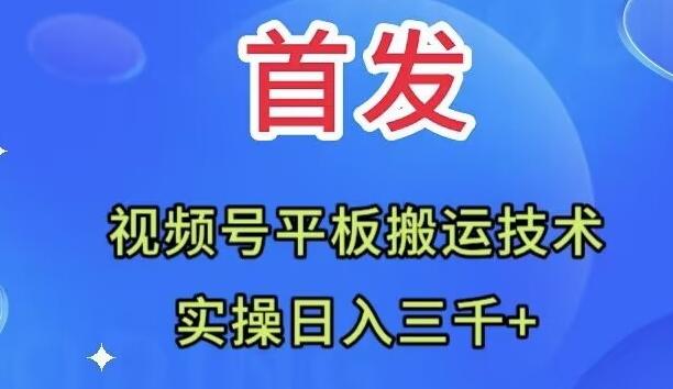 全网首发：视频号平板搬运技术，实操日入三千＋-小鹏项目网