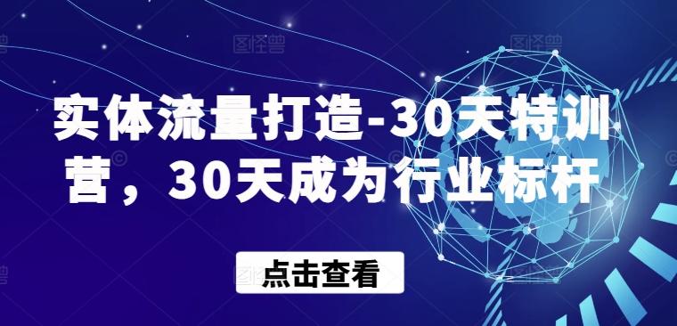 实体流量打造-30天特训营，30天成为行业标杆-小鹏项目网