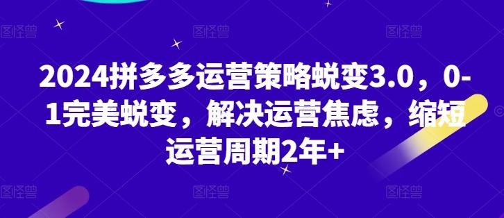 2024拼多多运营策略蜕变3.0，0-1完美蜕变，解决运营焦虑，缩短运营周期2年+-小鹏项目网