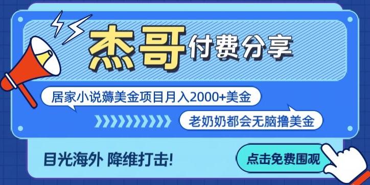 拆解海外撸美金项目月入2000美刀详细指导-小鹏项目网