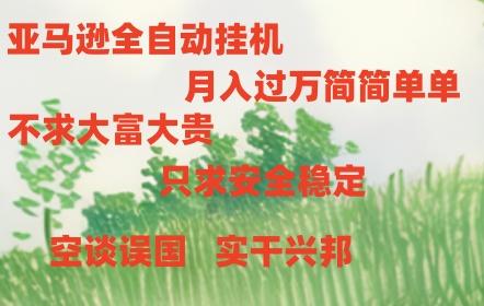 亚马逊全自动浏览挂机-小鹏项目网