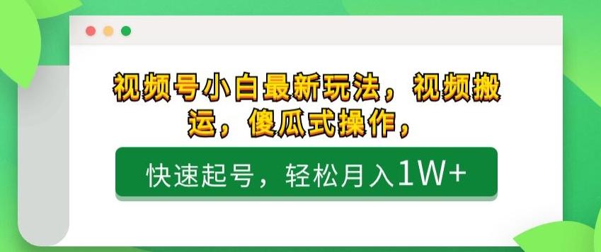 视频号小白最新玩法，视频搬运，傻瓜式操作，快速起号，轻松月入1W+-小鹏项目网