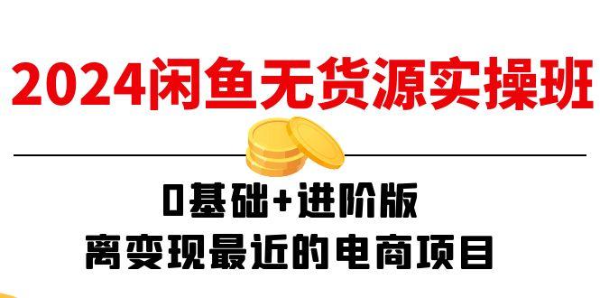 2024闲鱼-无货源实操班：0基础+进阶版，离变现最近的电商项目(15节-小鹏项目网
