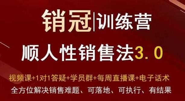 爆款！销冠训练营3.0之顺人性销售法，全方位解决销售难题、可落地、可执行、有结果-小鹏项目网