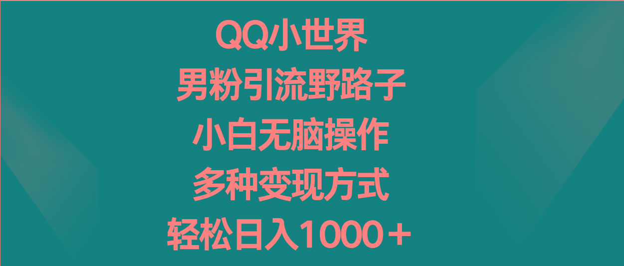 QQ小世界男粉引流野路子，小白无脑操作，多种变现方式轻松日入1000＋-小鹏项目网