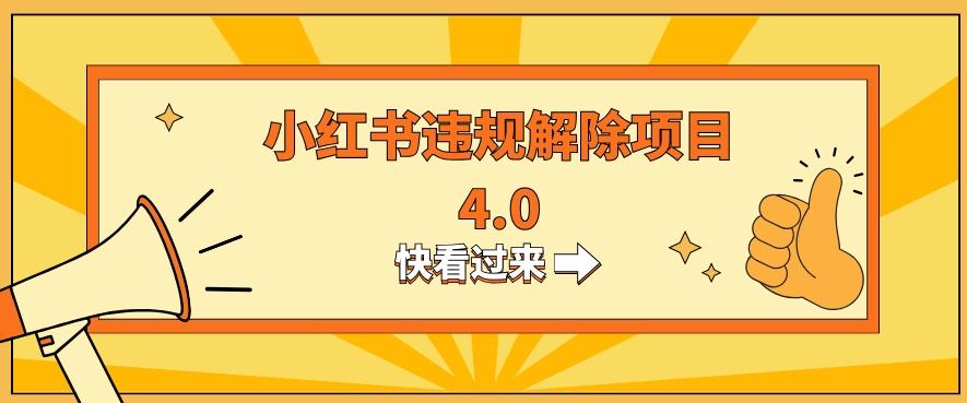 小红书违规掘金蓝海项目，日入800+（附带引流办法及解除办法）-小鹏项目网