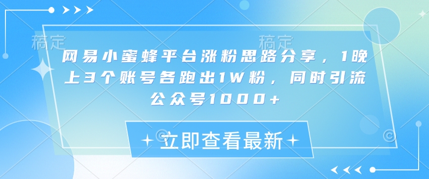 网易小蜜蜂平台涨粉思路分享，1晚上3个账号各跑出1W粉，同时引流公众号1000+-小鹏项目网