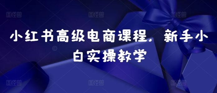 小红书高级电商课程，新手小白实操教学-小鹏项目网