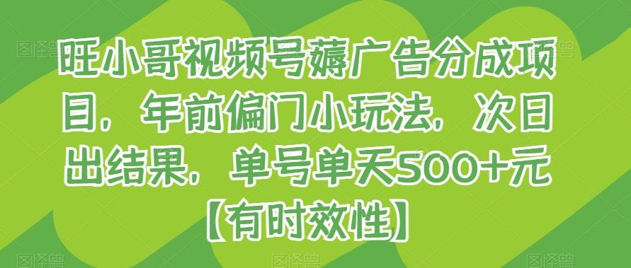 旺小哥视频号薅广告分成项目，年前偏门小玩法，次日出结果，单号单天500+元【有时效性】-小鹏项目网