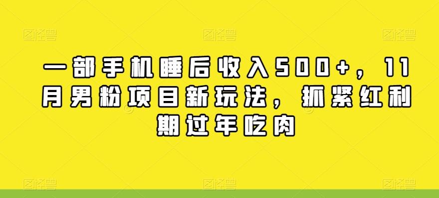 一部手机睡后收入500+，11月男粉项目新玩法，抓紧红利期过年吃肉-小鹏项目网