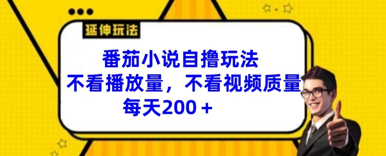 番茄小说自撸玩法，不看播放量，不看视频质量，每天200+【揭秘】-小鹏项目网