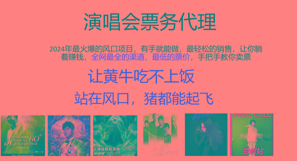 2024年最火爆风口项目，演唱会票务代理，日入2000+，一部手机就能搞定！-小鹏项目网