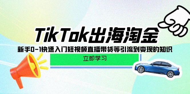 (10035期)TikTok-出海淘金，新手0-1快速入门短视频直播带货等引流到变现的知识-小鹏项目网