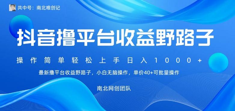 最新撸抖音平台收益野路子，操作简单，单价高，小白可无脑操作可日入1000+-小鹏项目网
