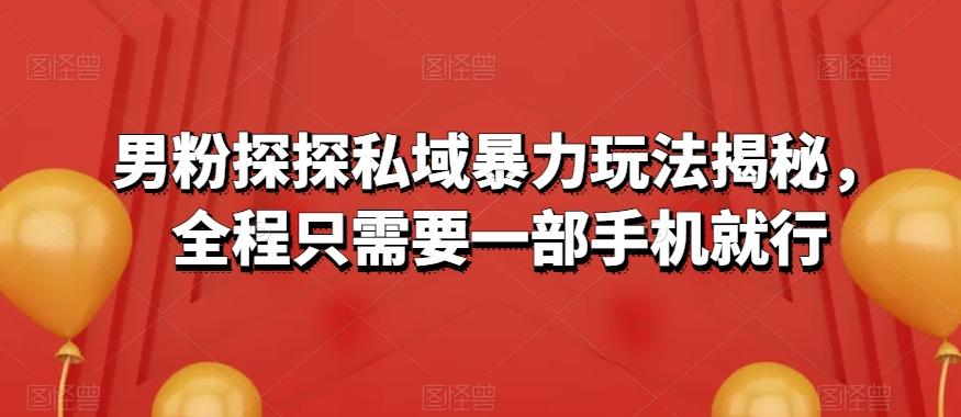男粉探探私域暴力玩法揭秘，全程只需要一部手机就行-小鹏项目网
