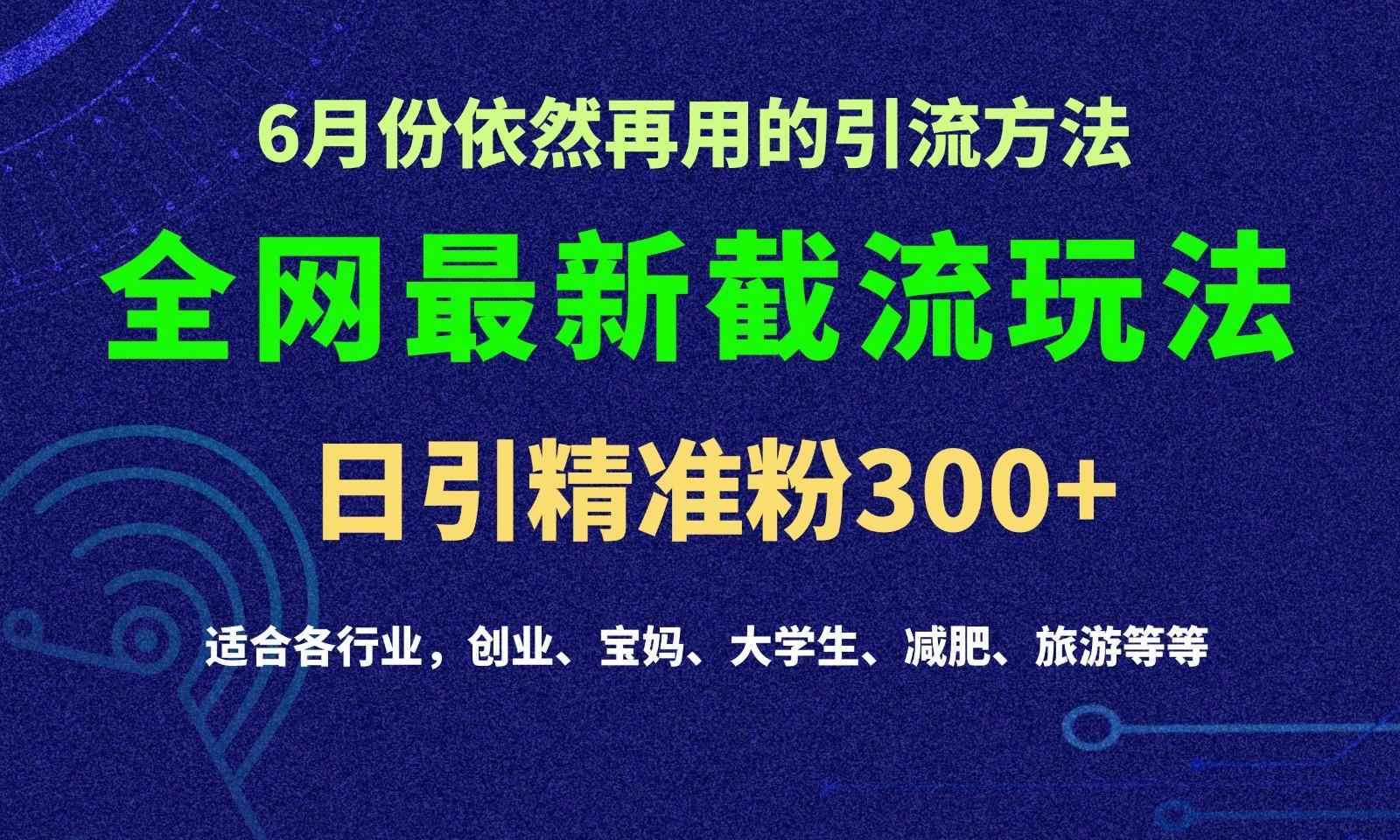 2024全网最新截留玩法，每日引流突破300+-小鹏项目网
