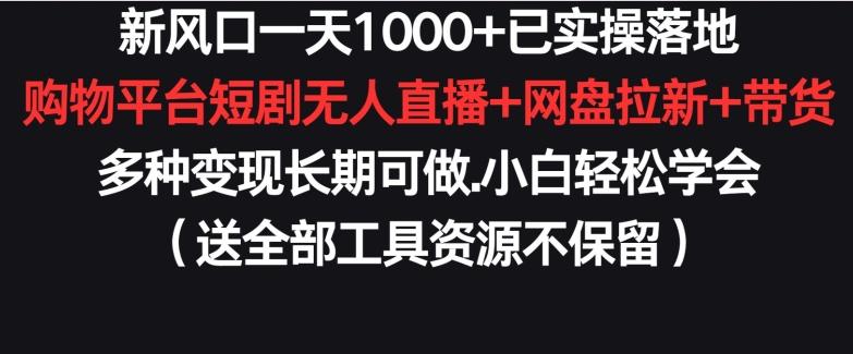 新风口一天1000+已实操落地购物平台短剧无人直播+网盘拉新+带货多种变现长期可做【揭秘】-小鹏项目网