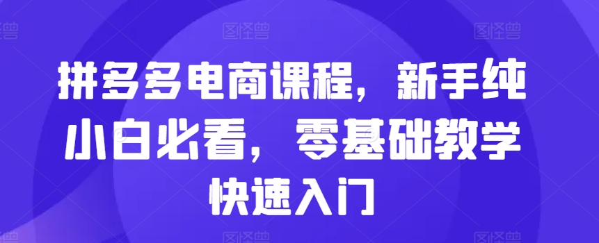 拼多多电商课程，新手纯小白必看，零基础教学快速入门-小鹏项目网