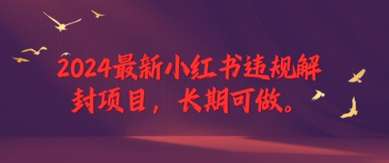 2024最新小红书违规解封项目，长期可做，一个可以做到退休的项目【揭秘】-小鹏项目网