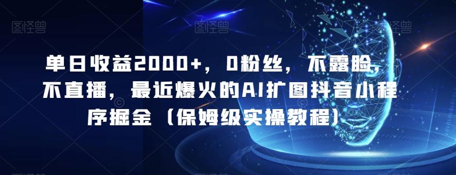 单日收益2000+，0粉丝，不露脸，不直播，最近爆火的AI扩图抖音小程序掘金（保姆级实操教程）-小鹏项目网