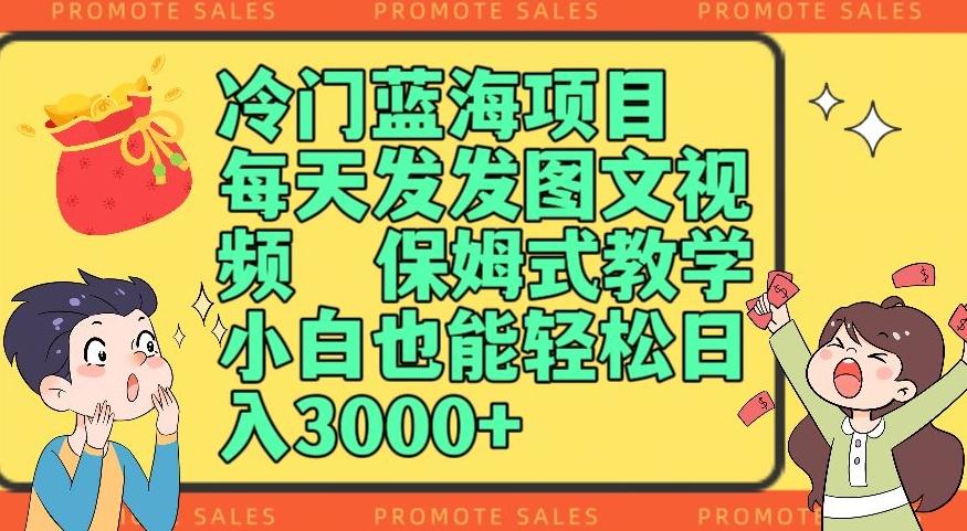冷门蓝海项目，每天发发图文视频，保姆式教学，小白也能轻松日入3000+-小鹏项目网