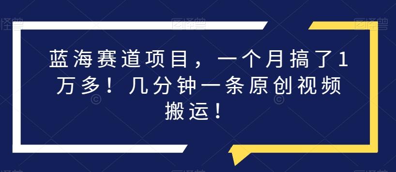 蓝海赛道项目，一个月搞了1万多！几分钟一条原创视频搬运！-小鹏项目网