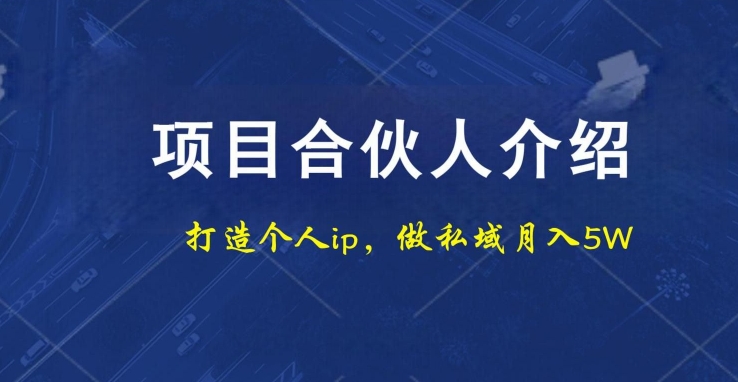 项目合伙人项目，打造个人IP，做私域月入5W，小白勿扰-小鹏项目网