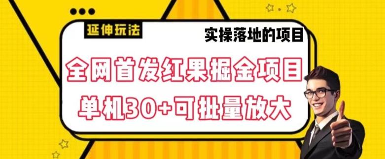 全网首发红果免费短剧掘金项目，单机30+可批量放大【揭秘】-小鹏项目网