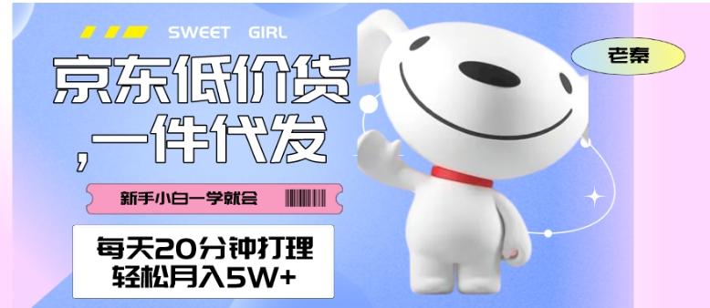 每天20分钟打理京东低价货，一件代发-轻松月入5W＋-小鹏项目网