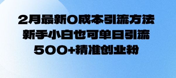 2月最新0成本引流方法，新手小白也可单日引流500+精准创业粉-小鹏项目网