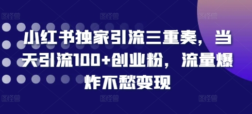 小红书独家引流三重奏，当天引流100+创业粉，流量爆炸不愁变现【揭秘】-小鹏项目网