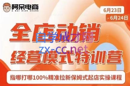 阿呆电商·全店动销经营模式特训营(线下录音+思维导图)-小鹏项目网