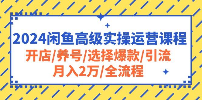2024闲鱼高级实操运营课程：开店/养号/选择爆款/引流/月入2万/全流程-小鹏项目网
