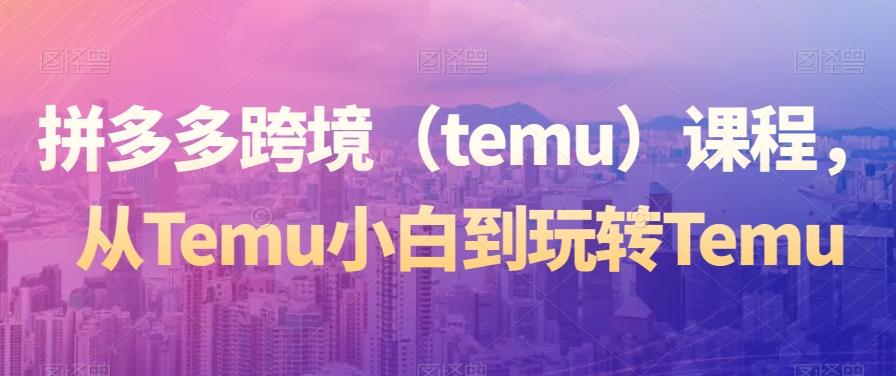 拼多多跨境（temu）课程，从Temu小白到玩转Temu-小鹏项目网