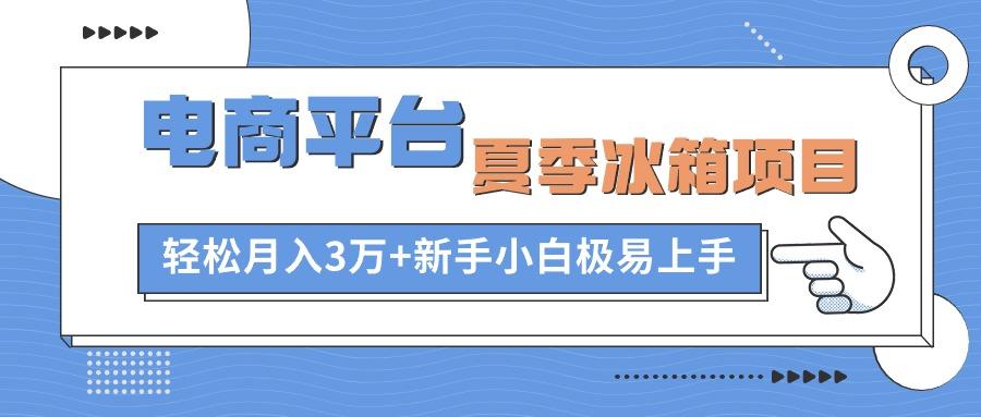 电商平台夏季冰箱项目，轻松月入3万+，新手小白极易上手-小鹏项目网