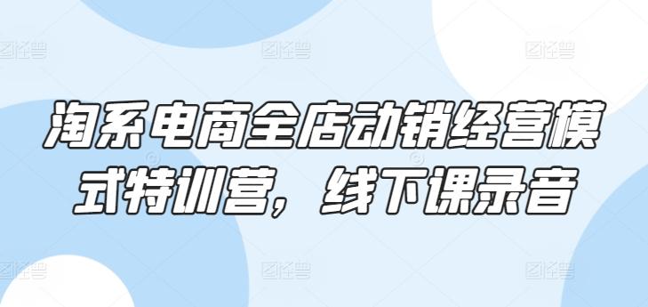淘系电商全店动销经营模式特训营，线下课录音-小鹏项目网