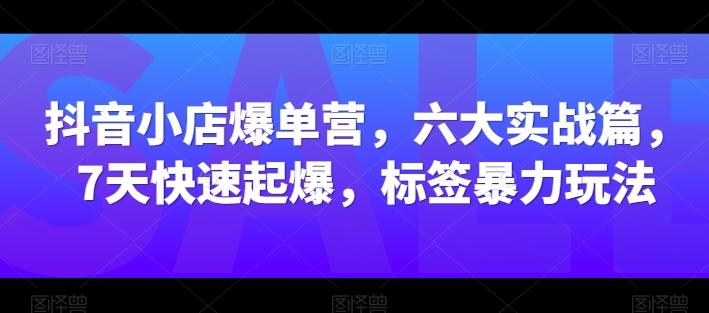 抖音小店爆单营，六大实战篇，7天快速起爆，标签暴力玩法-小鹏项目网