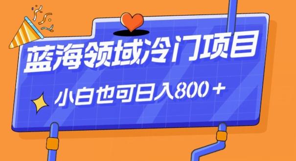 蓝海领域冷门赛道，一单39.9，日入800＋-小鹏项目网