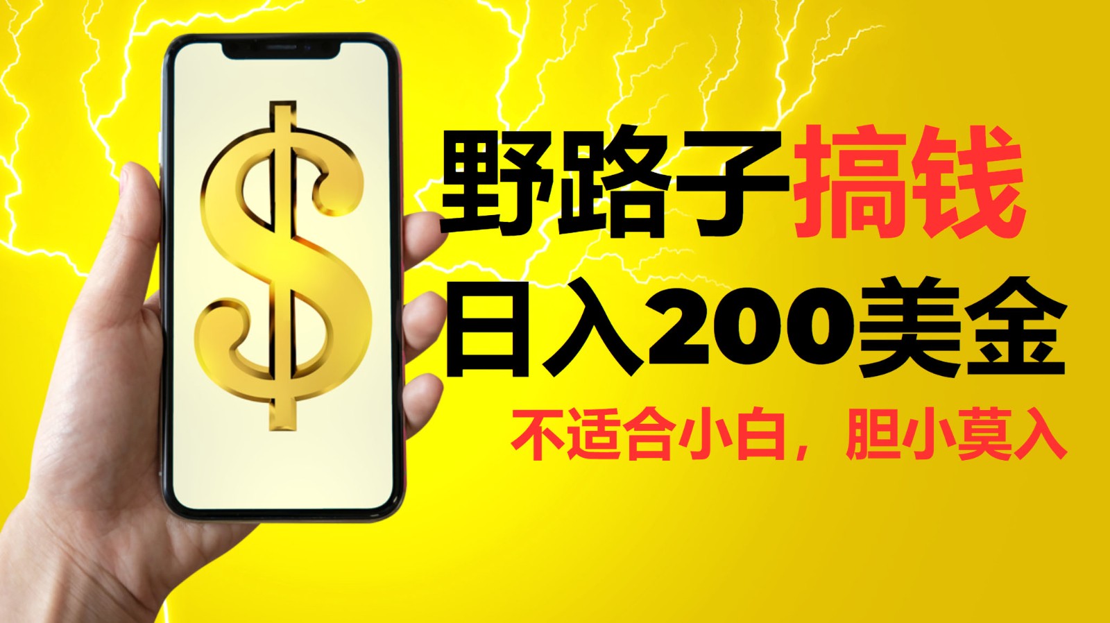 挂机野路子搞钱，日入200美金，路子很野，小白莫入-小鹏项目网