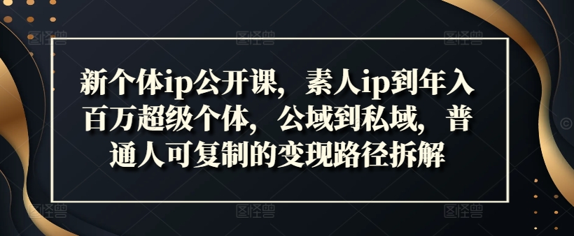 新个体ip公开课，素人ip到年入百万超级个体，公域到私域，普通人可复制的变现路径拆解-小鹏项目网