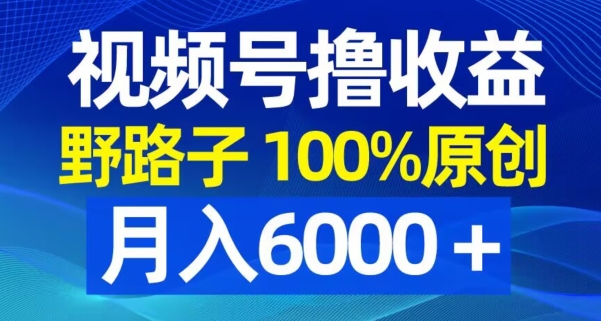 视频号野路子撸收益，100%原创，条条爆款，月入6000＋【揭秘】-小鹏项目网
