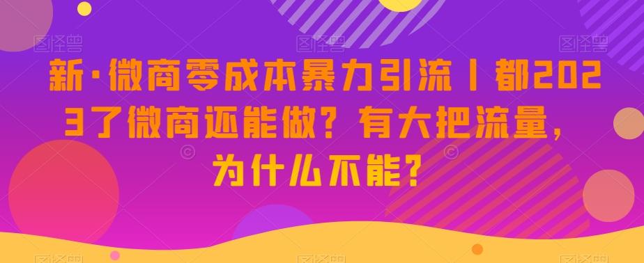 新·微商零成本暴力引流丨都2023了微商还能做？有大把流量，为什么不能？-小鹏项目网