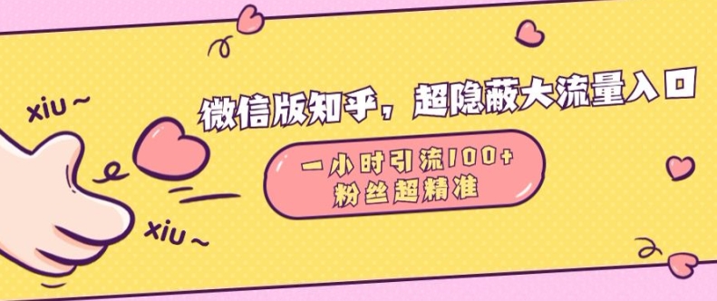 微信版知乎，超隐蔽流量入口1小时引流100人，粉丝质量超高【揭秘】-小鹏项目网