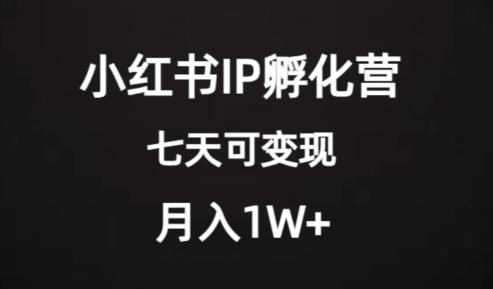 价值2000+的小红书IP孵化营项目，超级大蓝海，七天即可开始变现，稳定月入1W+-小鹏项目网