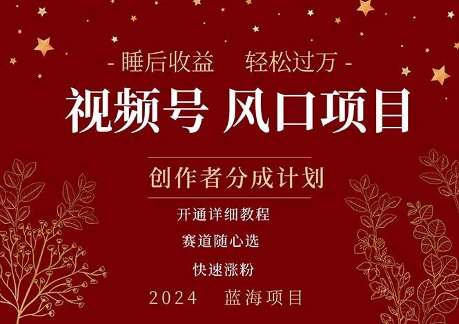 拥有睡眠收益的微信视频号大风口项目，轻松月入过万+，多赛道选择，可…-小鹏项目网