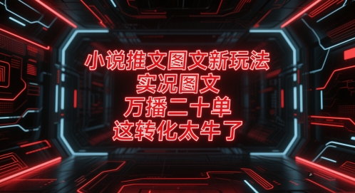 小说推文图文新玩法，实况图文，万播二十单，这转化太牛了！-小鹏项目网