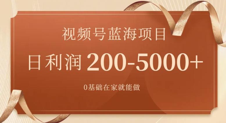 外边收费699视频号项目，最新玩法，简单好操作，一人可做，日四位数-小鹏项目网