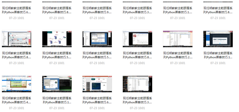 Python黑客技巧课程-小鹏项目网