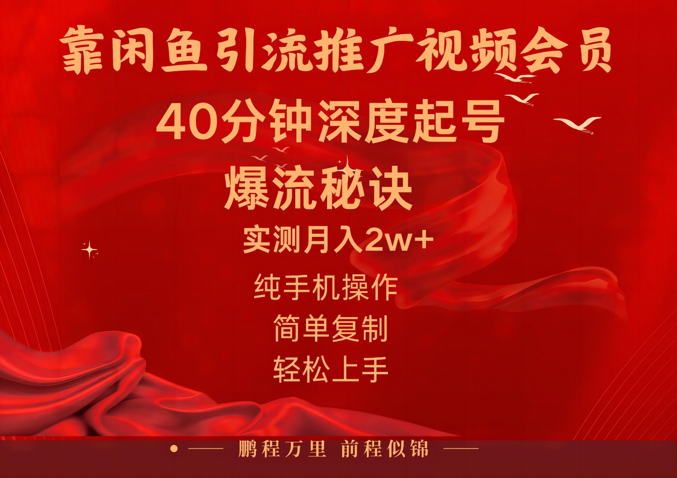 闲鱼暴力引流推广视频会员，能做到日入2W+，操作简单-小鹏项目网