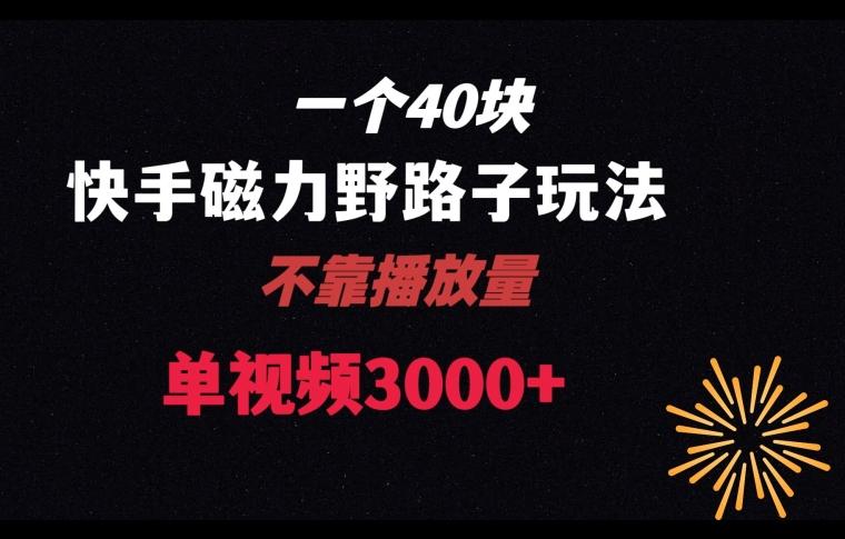 一个40块，快手联合美团磁力新玩法，无视机制野路子玩法，单视频收益4位数【揭秘】-小鹏项目网